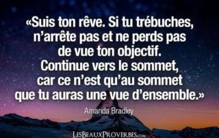 cItation-amanda-bradeley-reves
