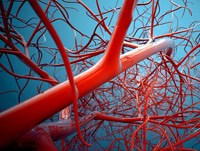 Rêver d'artères en Islam Rêver d'artères en Islam