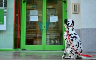 rever-de-attendre-en-islam-6