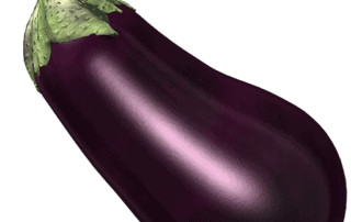 rever-de-aubergine-en-islam-3