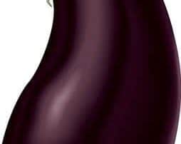 Aubergine