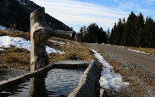 rever-de-auge-en-islam-6