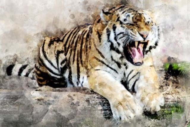 Que signifie rêver de bêtes ?