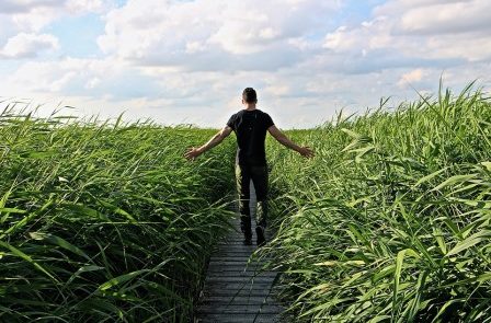 Rêver de balade en campagne Rêver de balade en campagne