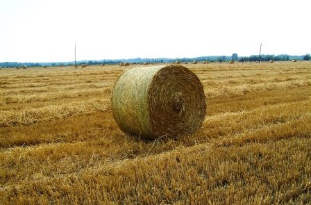 Rêver de ballot Rêver de ballot de paille
