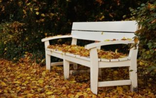 Rêver de banc signification Rêver de banc blanc