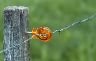 Rêver de barbelés Faire le rêve de barbelés