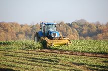 Rêver de champ en islam Rêver de champ en islam