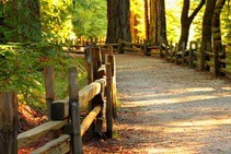 Rêver de chemin et sa signification: