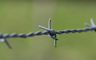 Rêver de fils barbelés Rêver de fils barbelés