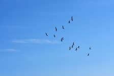 Rêver de ciel en Islam Rêver de ciel en Islam