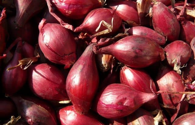 Que signifie rêver d'échalote ?