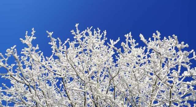 Que signifie rêver de givre ? 