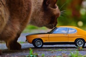 Un rêve de grandir et son interprétation authentique: Pourquoi rêver de grandir ?