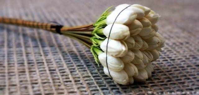 Le rêve de jasmin et son interprétation authentique: Que signifie rêver de jasmin ?