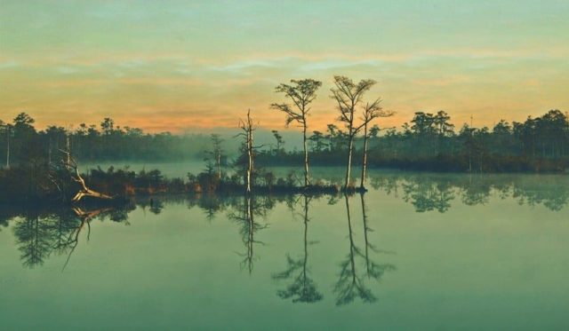 Que signifie rêver de marais ?