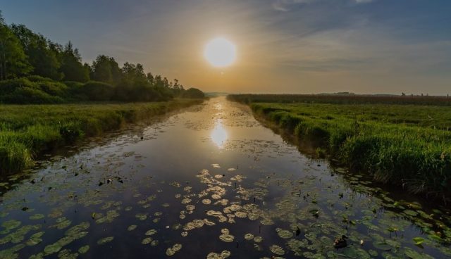 Que signifie rêver de marécages ?
