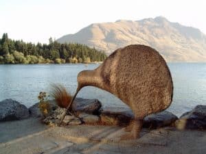 Rêver de kiwi l'oiseau:
