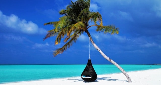 Que signifie rêver de palmier ?