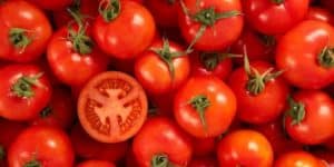 Le rêve de tomates et son interprétation: Pourquoi rêver de tomate ?