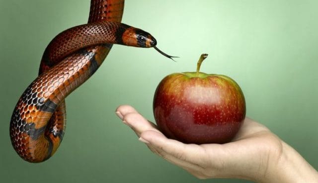 Le rêve de tentation et son interprétation authentique: Que signifie rêver de tentation ?