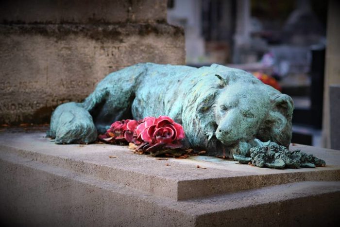 Rever De Chien Mort Sens Et Interpretation Reves Islam Rever De Chien Mort Sens Et Interpretation Reves Islam