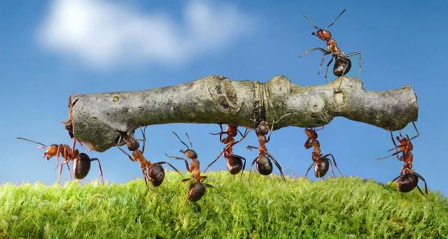 Un rêve de porter et son interprétation authentique: Que signifie rêver de porter ?