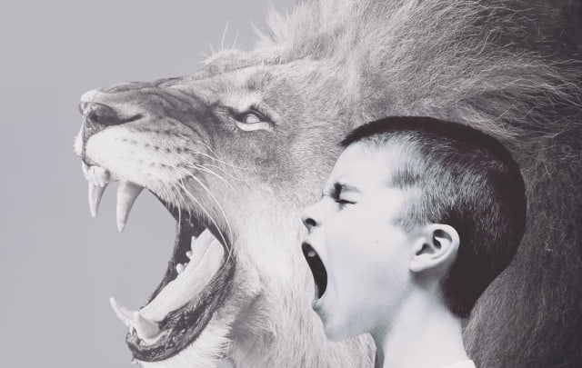Rêver de rage et sa signification:  Rêver de rage et sa signification: