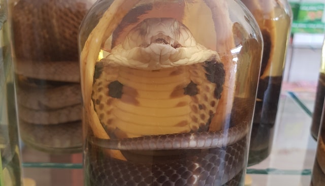 Le rêve de tuer un serpent et sa signification: Le rêve de tuer un serpent et sa signification: