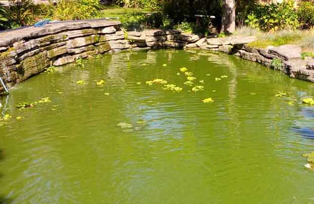 Le rêve d'eau verte et son interprétation authentique: Que signifie un rêve d'eau verte ?