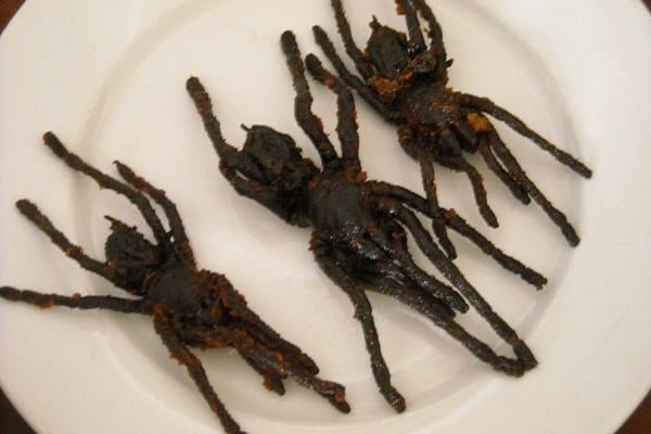 Le rêve de tuer une araignée et sa signification: Que signifie un rêve de tuer une araignée ?