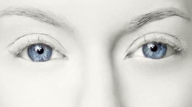 Que signifie un rêve de blafard ?