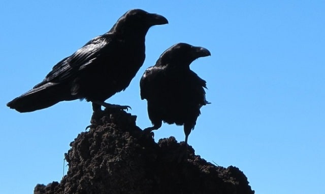 Que signifie un rêve de chantage ?