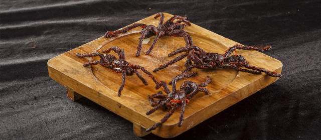 Le rêve de manger une araignée et sa signification: Que signifie un rêve de manger une araignée ?