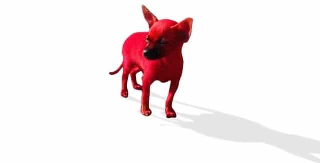 Le rêve de chien rouge et sa signification: Que signifie rêver de chien rouge ?