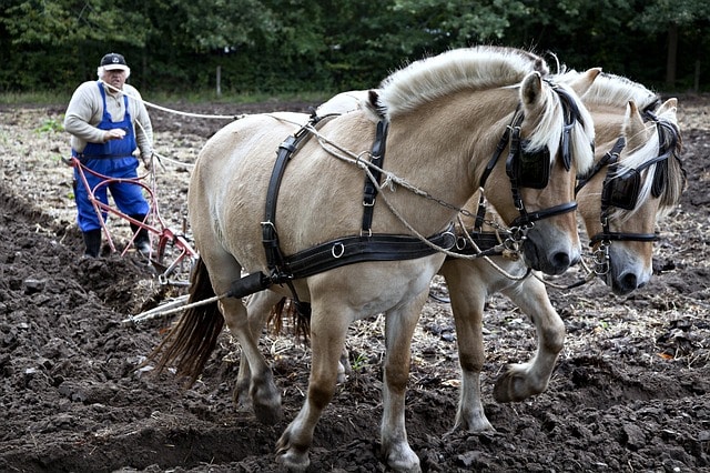 Que signifie rêver de labourer ?