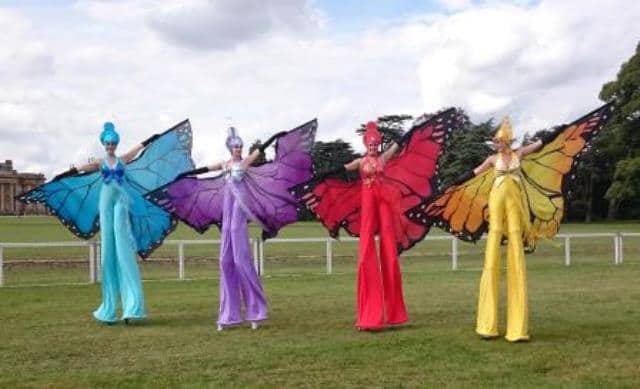 Le rêve d’échasse et son interprétation authentique: Que signifie rêver d’échasses ?