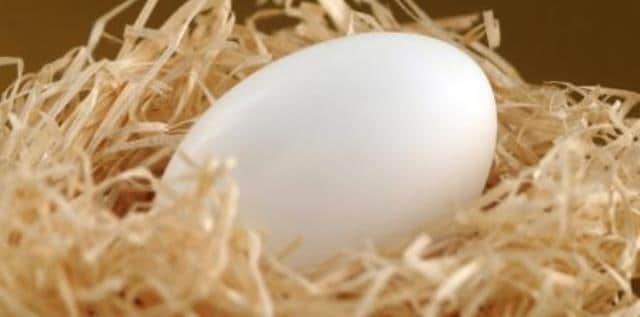 Le rêve d'éclore et sa signification: Que signifie rêver d'éclore ?