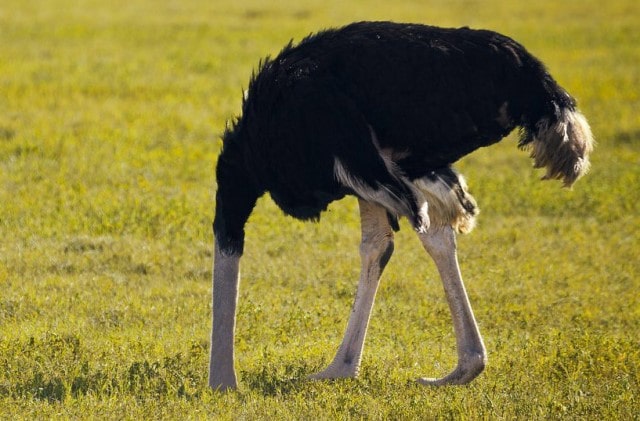 Le rêve de lâcheté et sa signification: Que signifie rêver de lâcheté ?