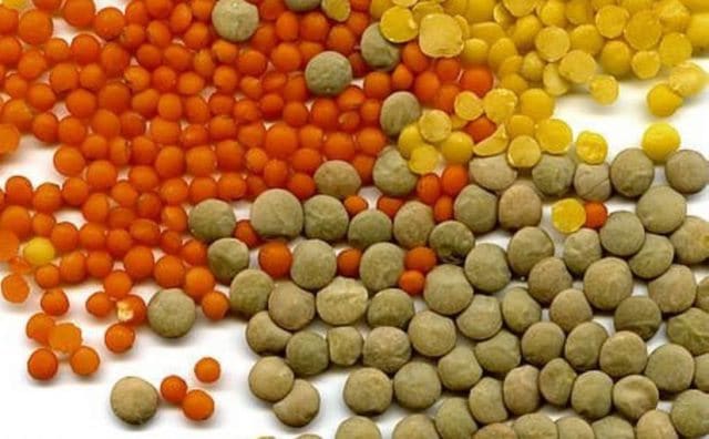 Le rêve de lentilles et sa signification: Que signifie rêver de lentilles ?