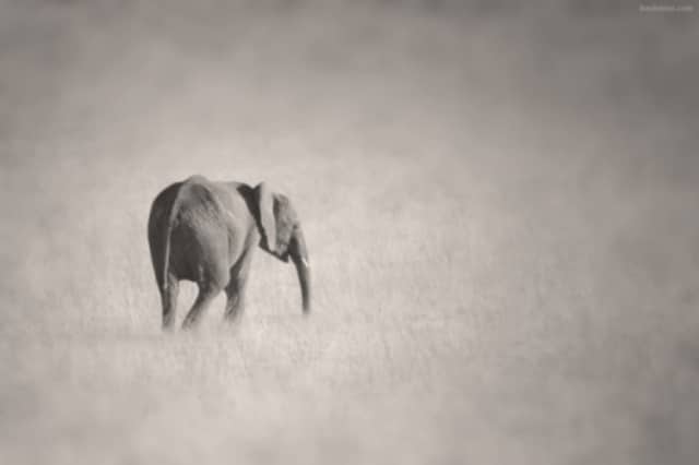 Le rêve de disparition et sa signification: Que signifie rêver de disparition ?