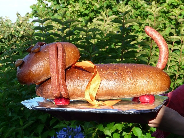 Le rêve de manger un chien et sa signification: Que signifie rêver de manger un chien ?