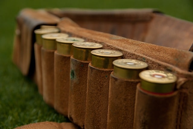 Que signifie rêver de tuer un oiseau ?