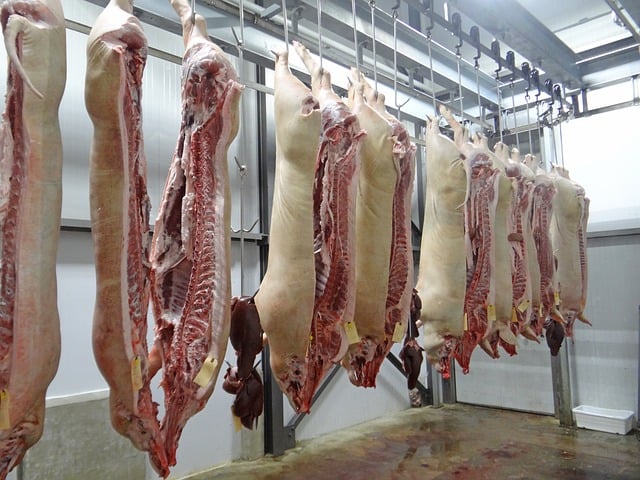 Que signifie rêver d'abattoir ?