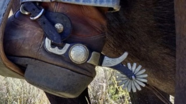 Le rêve d'éperons et sa signification: Que signifie rêver d'éperons ?