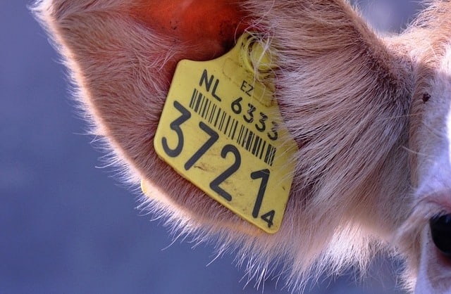 Que signifie rêver d'étiquette ?