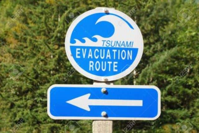 Le rêve de fuir un tsunami et sa signification: Que signifie rêver de fuir un tsunami ?