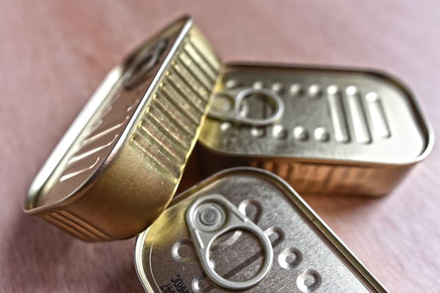 Le rêve de manger des sardines et sa signification: Que signifie rêver de manger des sardines ?