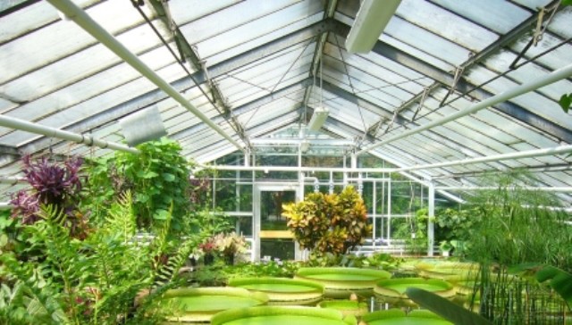 Le rêve de serre et sa signification: Que signifie rêver de serre ?