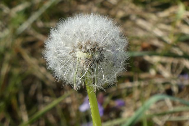 Le rêve de souffle et sa signification: Que signifie rêver de souffle ?